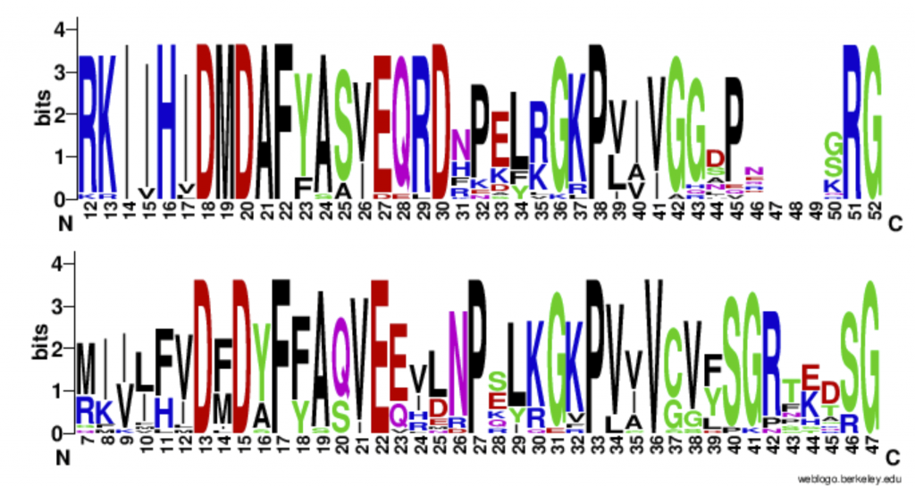  Figura 1. Sequence logo de los alineamientos múltiples de las secuencias de proteínas mesófilas y termoestables, respectivamente.