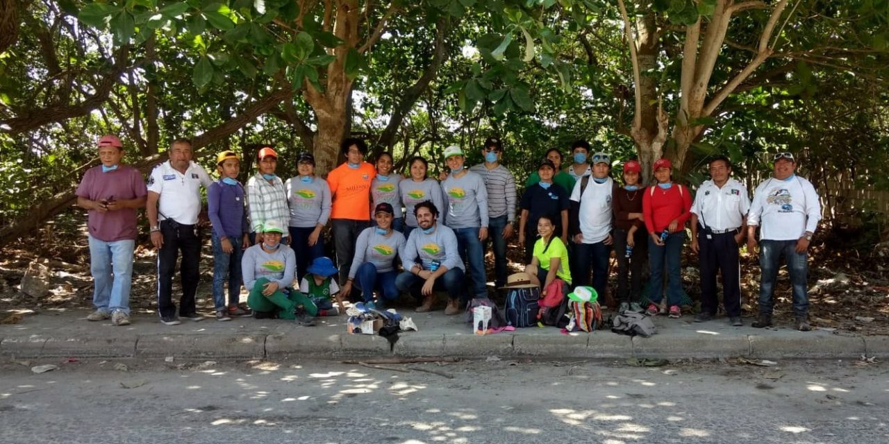 El Voluntariado Ambiental UADY realiza limpieza del manglar de Chicxulub Puerto