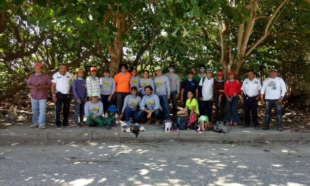 El Voluntariado Ambiental UADY realiza limpieza del manglar de Chicxulub Puerto