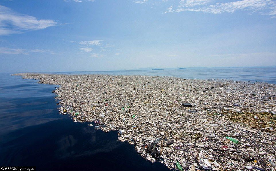 ¿Es posible que el plástico se biodegrade?